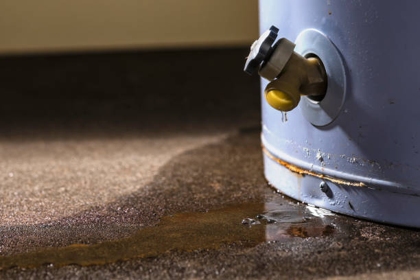 Best Basement water damage restoration  in Belle Isle, FL