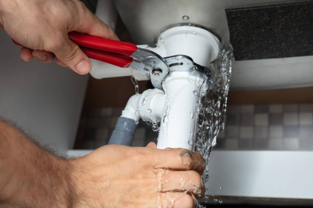 Best Ceiling water damage repair  in Belle Isle, FL
