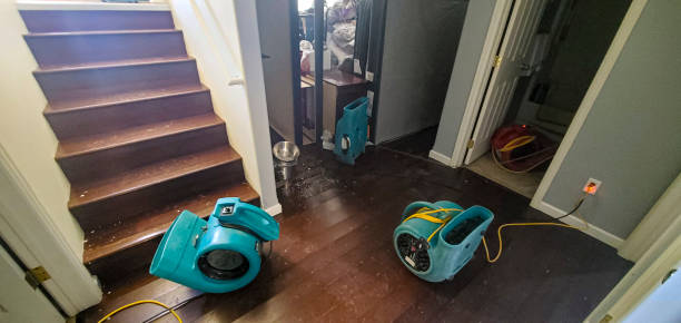 Best Water damage contractors near me  in Belle Isle, FL