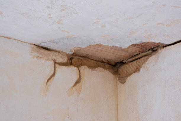 Best Sewage cleanup and water damage restoration  in Belle Isle, FL