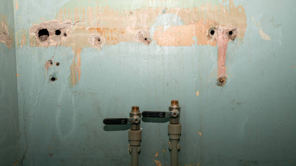 24/7 water damage repair in Belle Isle, FL