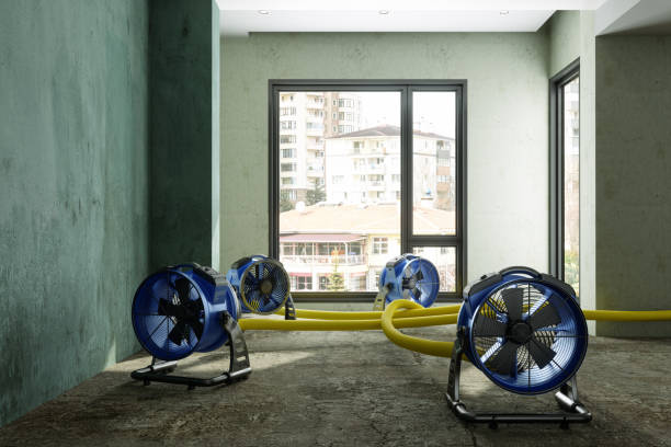 Best Water damage repair service  in Belle Isle, FL